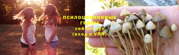 дурь Магадан