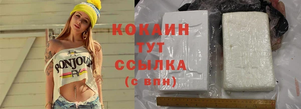 гидра Магас