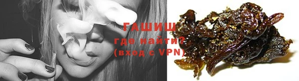 гидра Магас